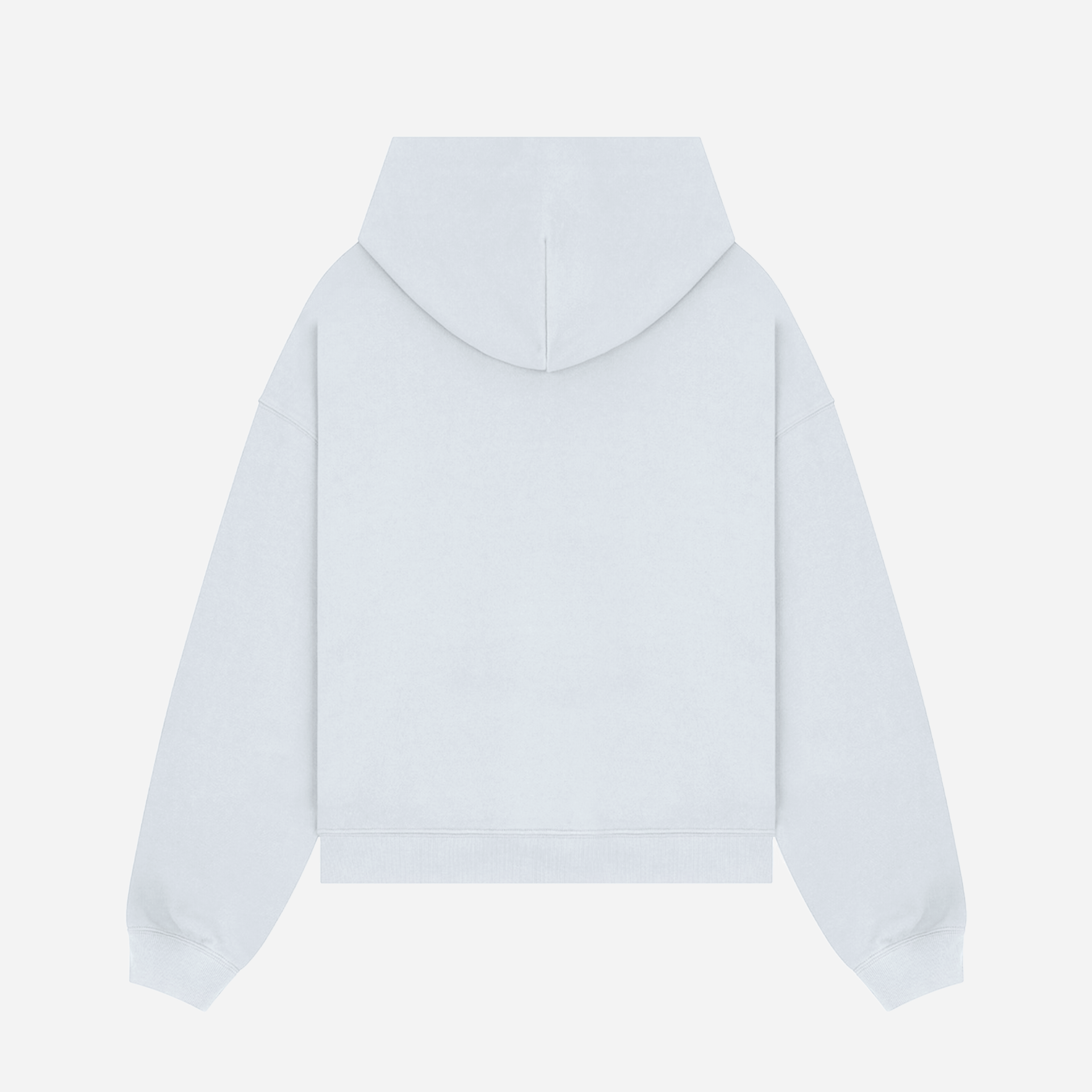 Realm Oversized Cropped Hoodie (Frost)
