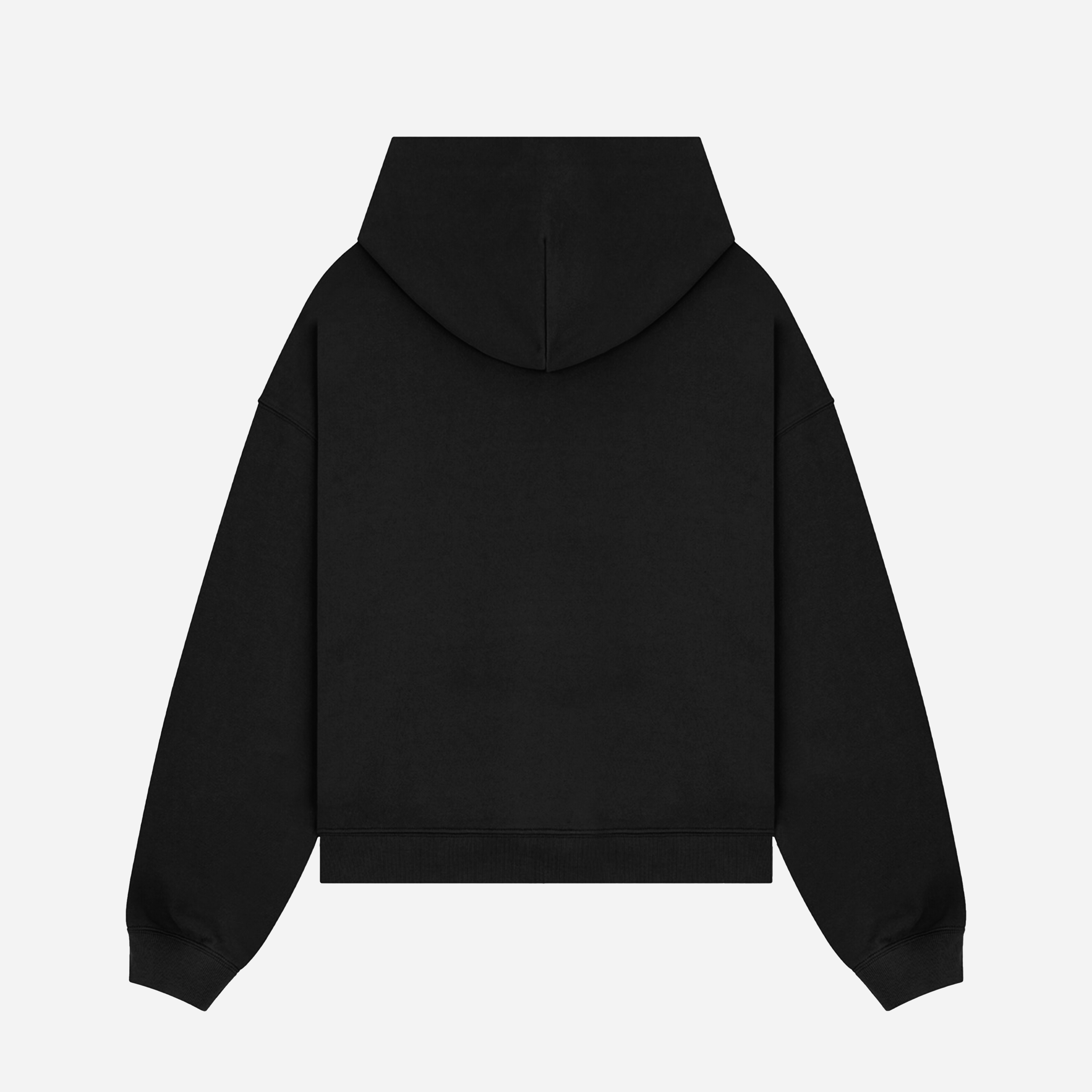 Realm Oversized Cropped Hoodie (Black)